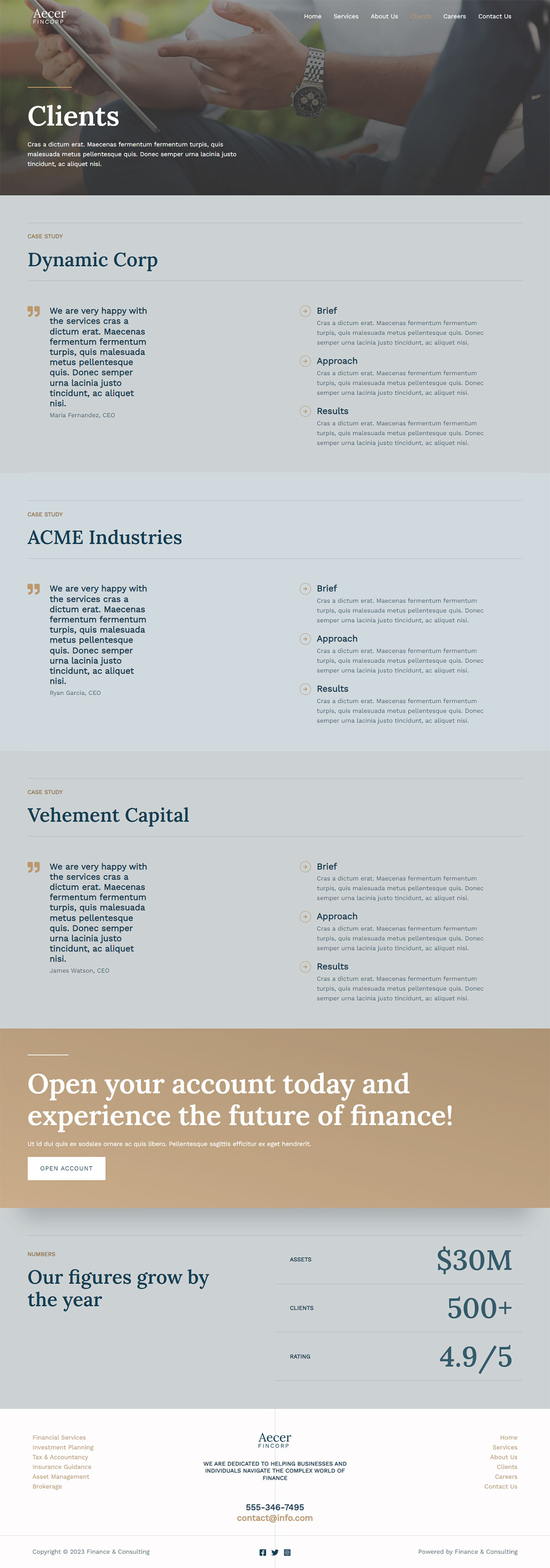finance-consulting-04-clients