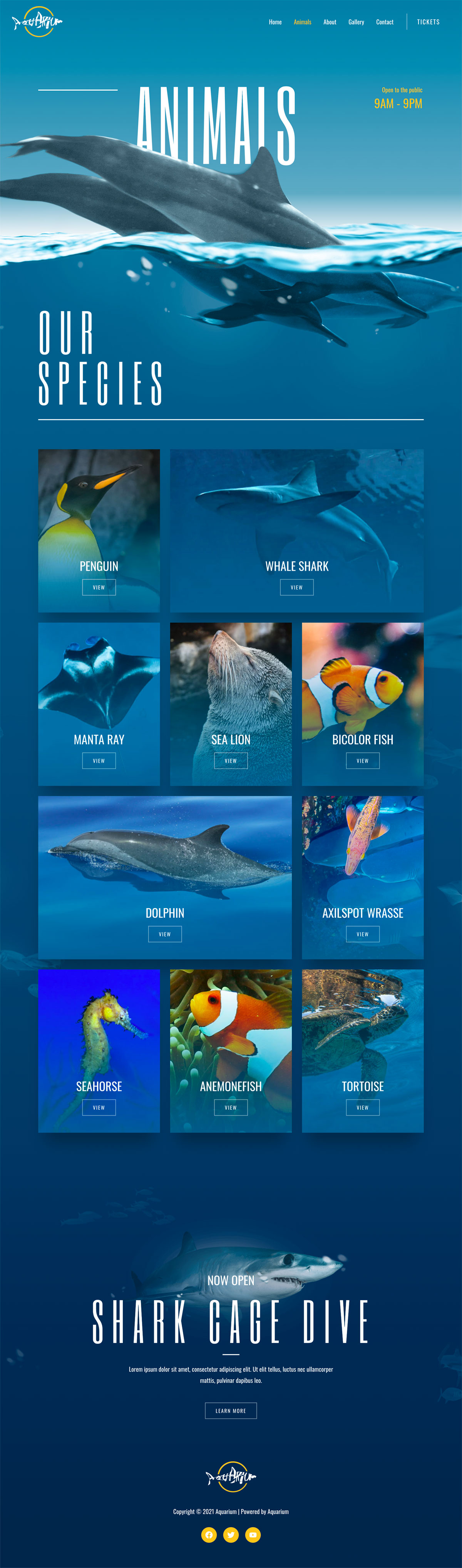 Animals